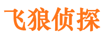 郧县市侦探调查公司